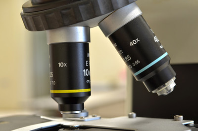 生物經濟 定義、核心特征與生物技術開發服務的驅動作用