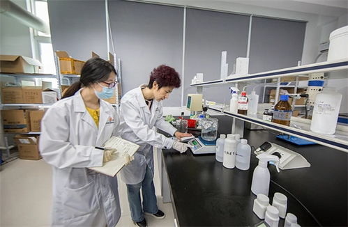 抓品質(zhì)重服務(wù)，海智生物專注品質(zhì)，倚夢前行